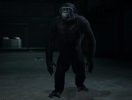 Crisis-on-the-Planet-of-the-Apes-VR-spear