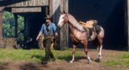 Red Dead Redemption II Animales10