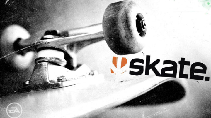 Skate. detalla sus actividades en un nuevo diario de desarrollo