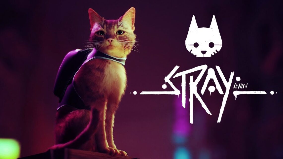 STRAY confirma su lanzamiento para este mismo verano
