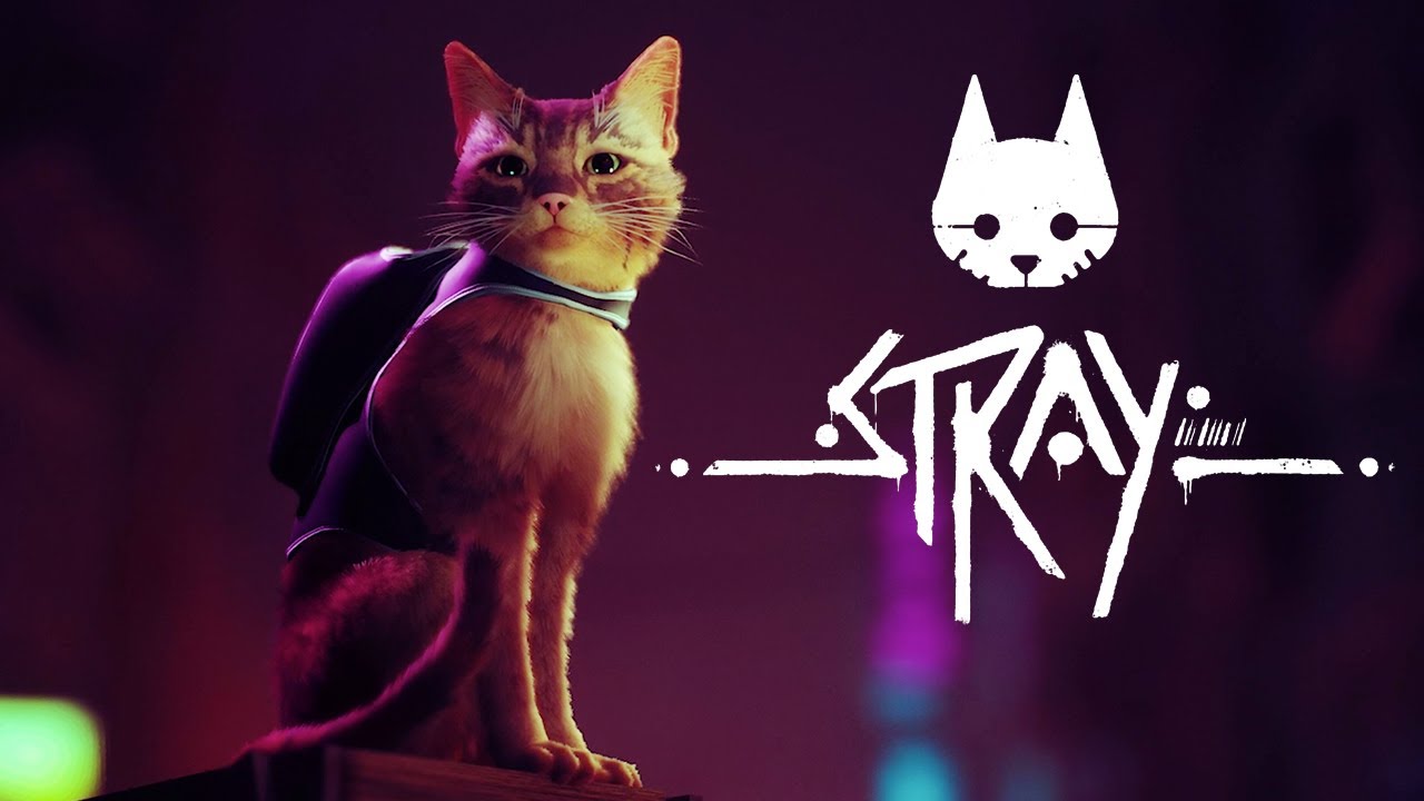Nuevos detalles sobre la historia y jugabilidad de Stray, título de  aventuras para PS5 – RegionPlayStation