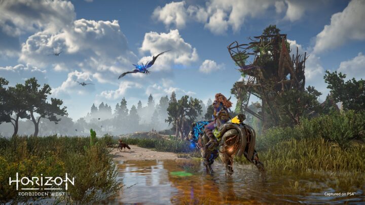 Primeras imágenes oficiales de la versión de PS4 de Horizon Forbidden West